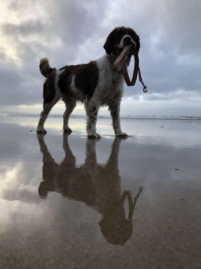 Mcmunns Of Ballybunion Esterno foto
